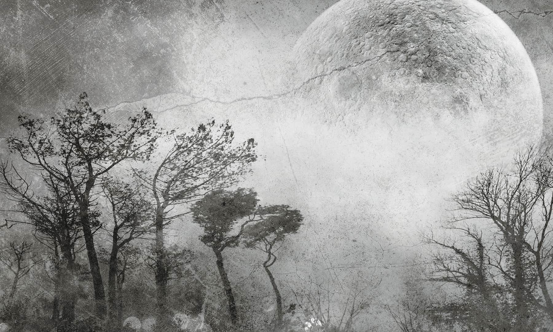 Moonlight 2 wallpaper
