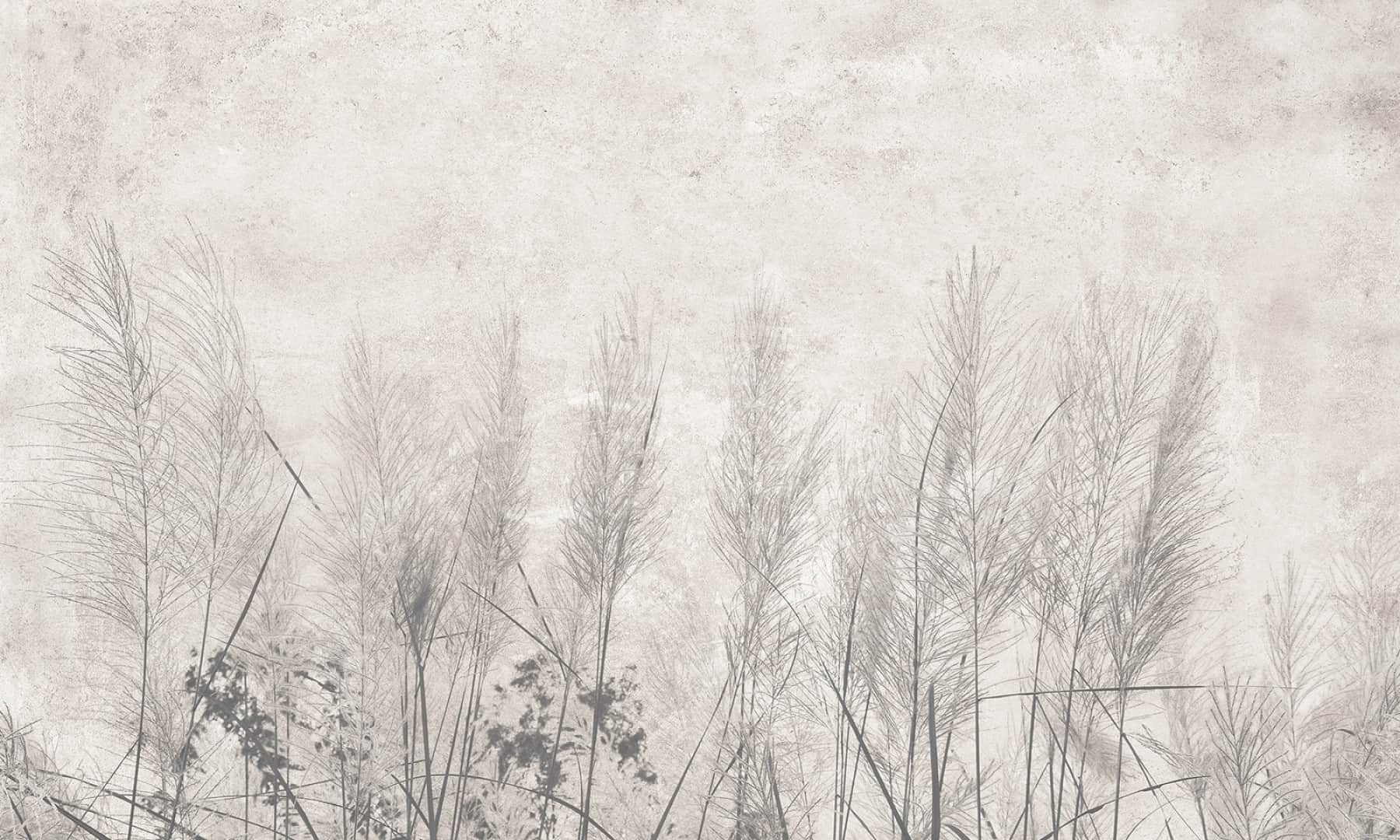 Morning mist wallpaper