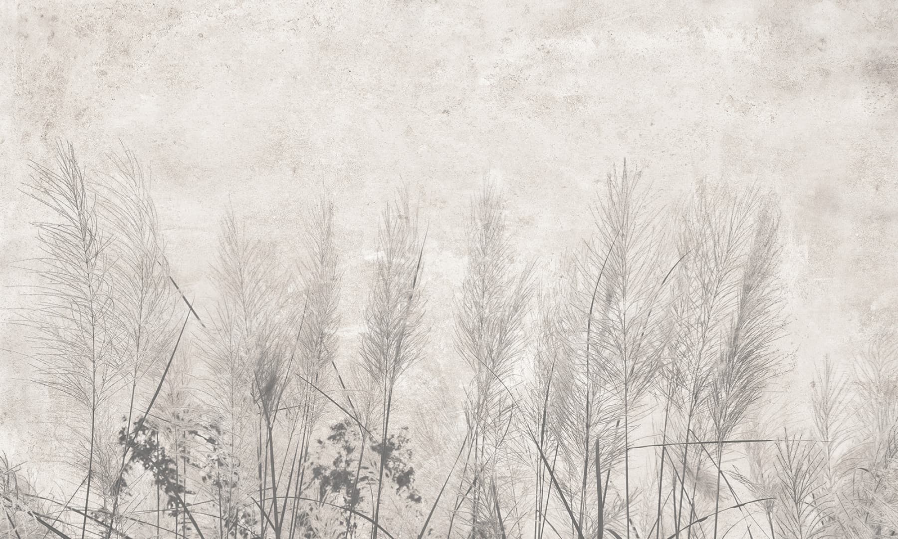 Papier peint Morning mist – Rauv