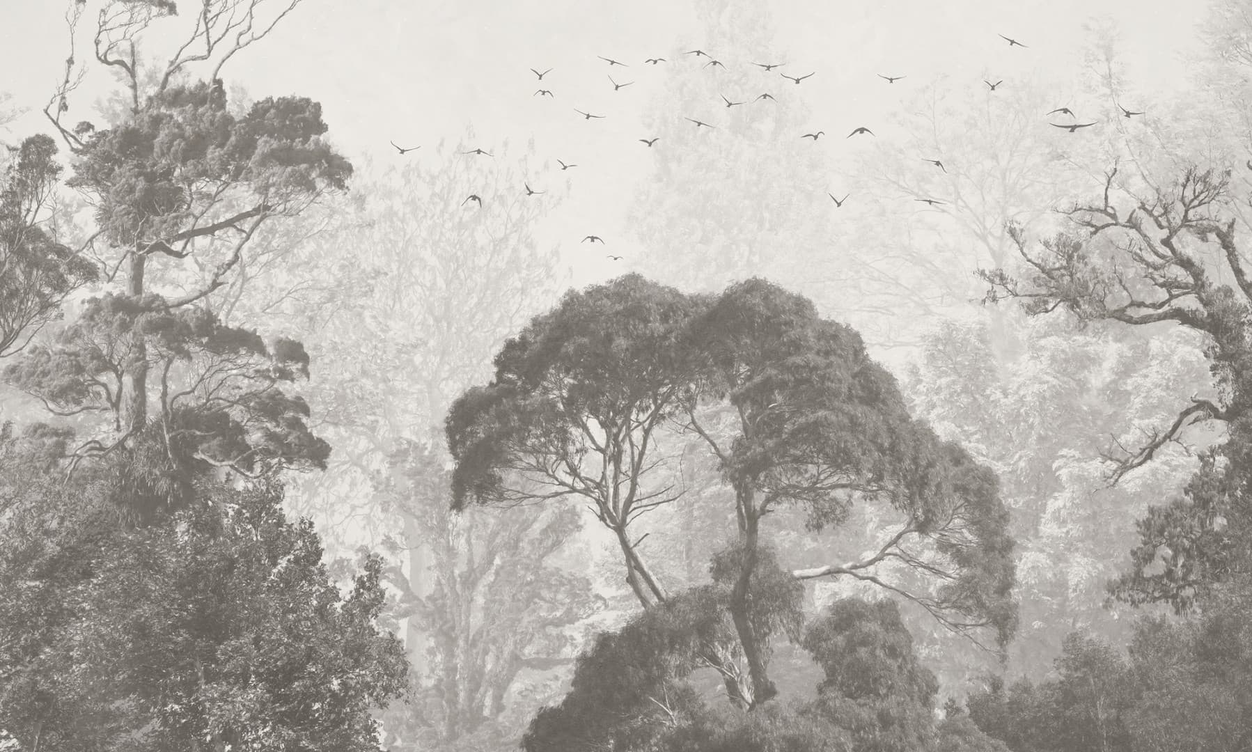 Wallpaper Rainforest
