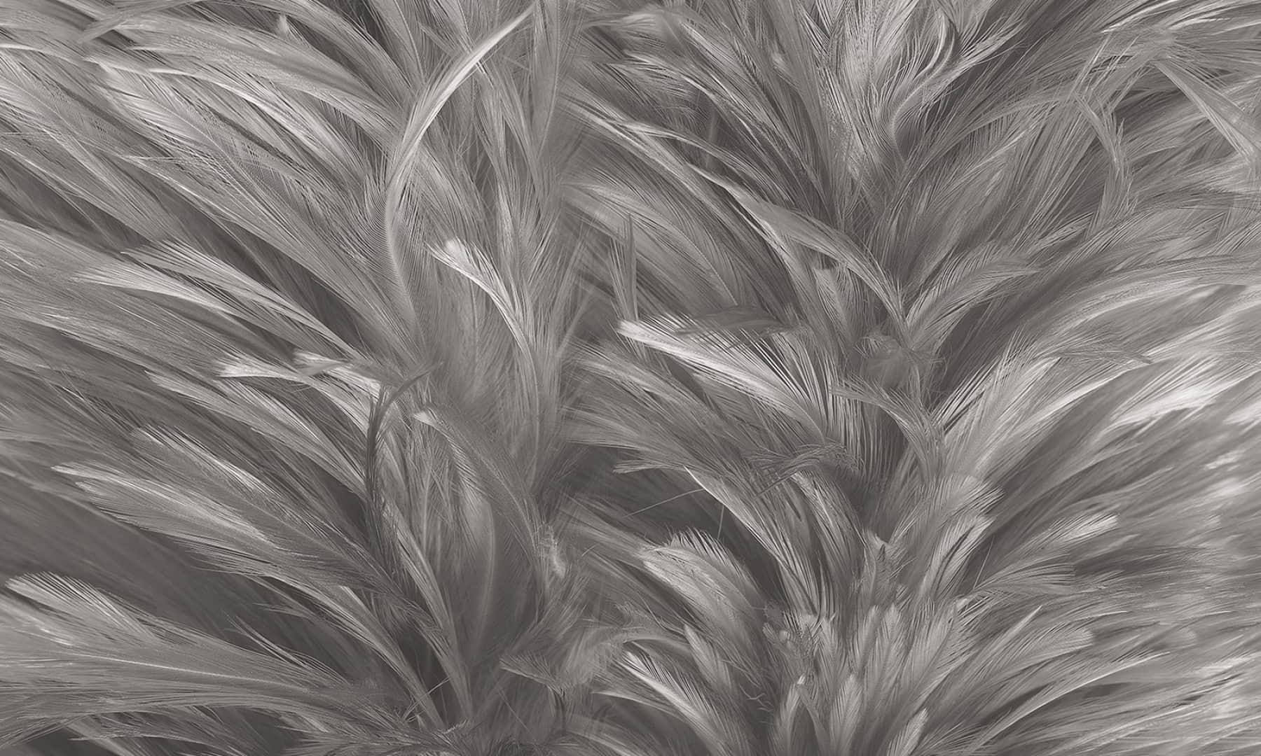 Soft touch wallpaper