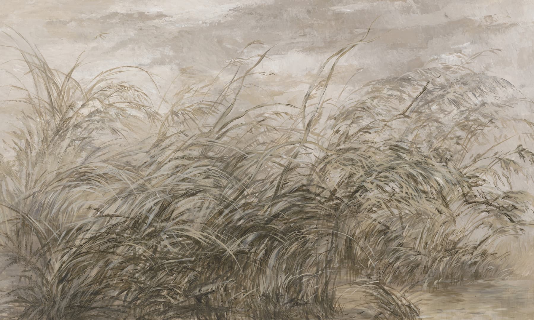 Papier peint Early dawn – Rauv