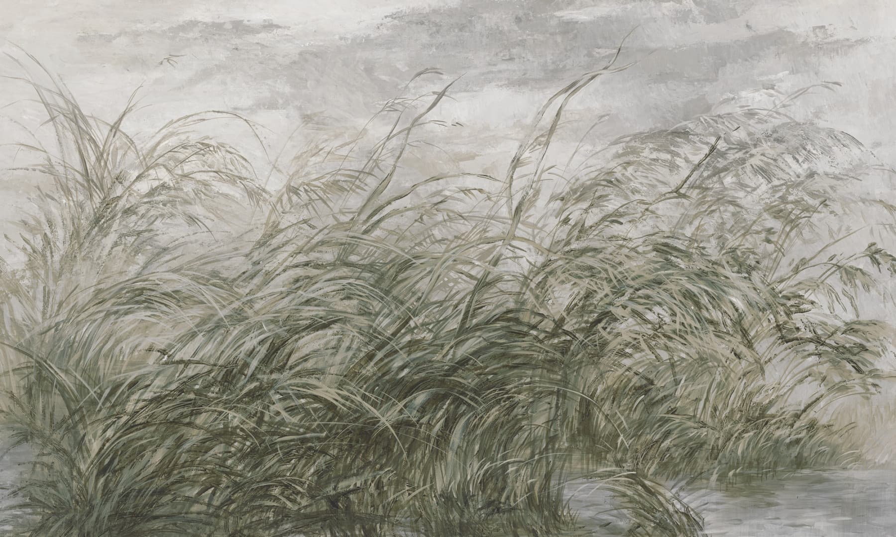 Papier peint Early dawn 2 – Rauv