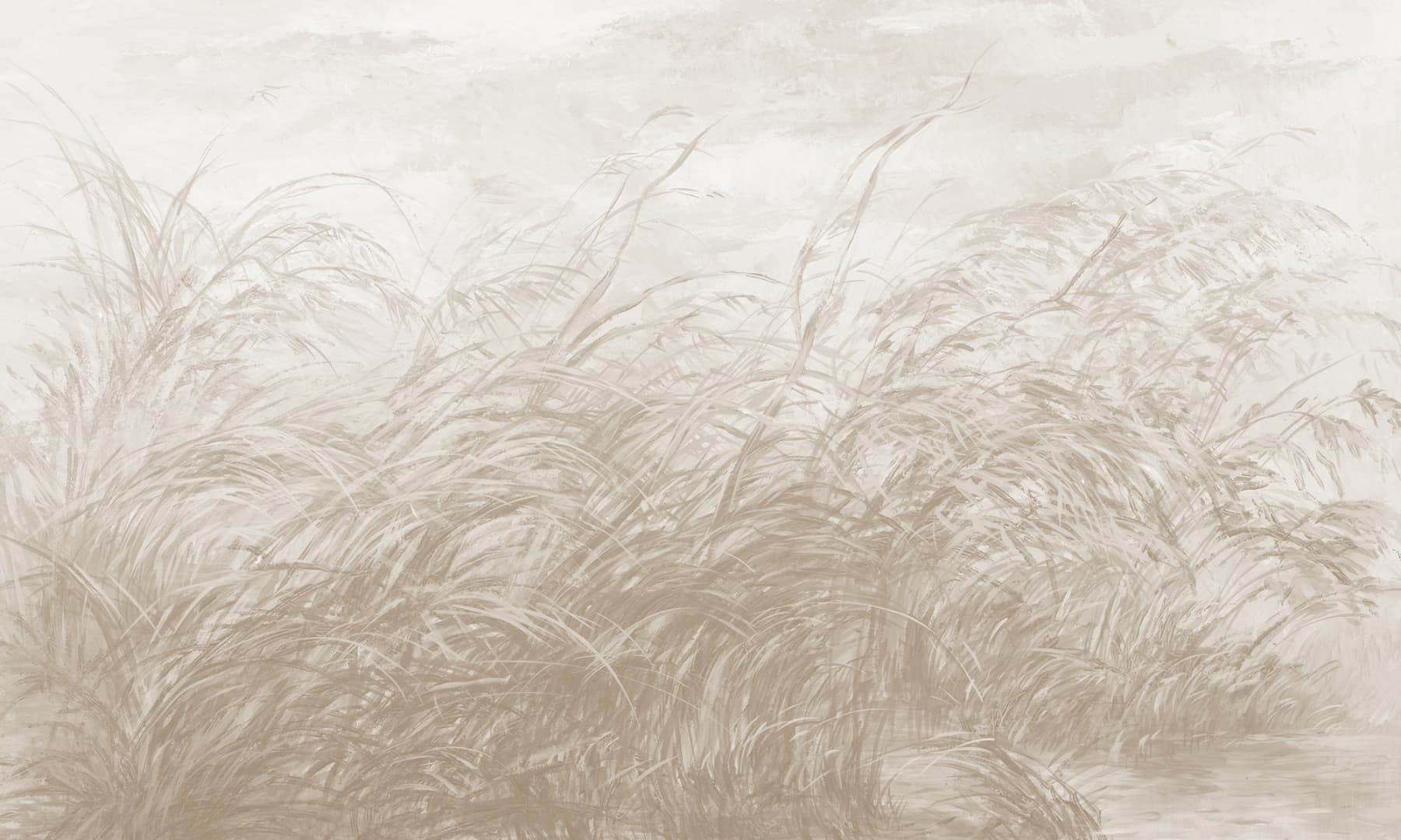 Papier peint Early Dawn 3 – Rauv