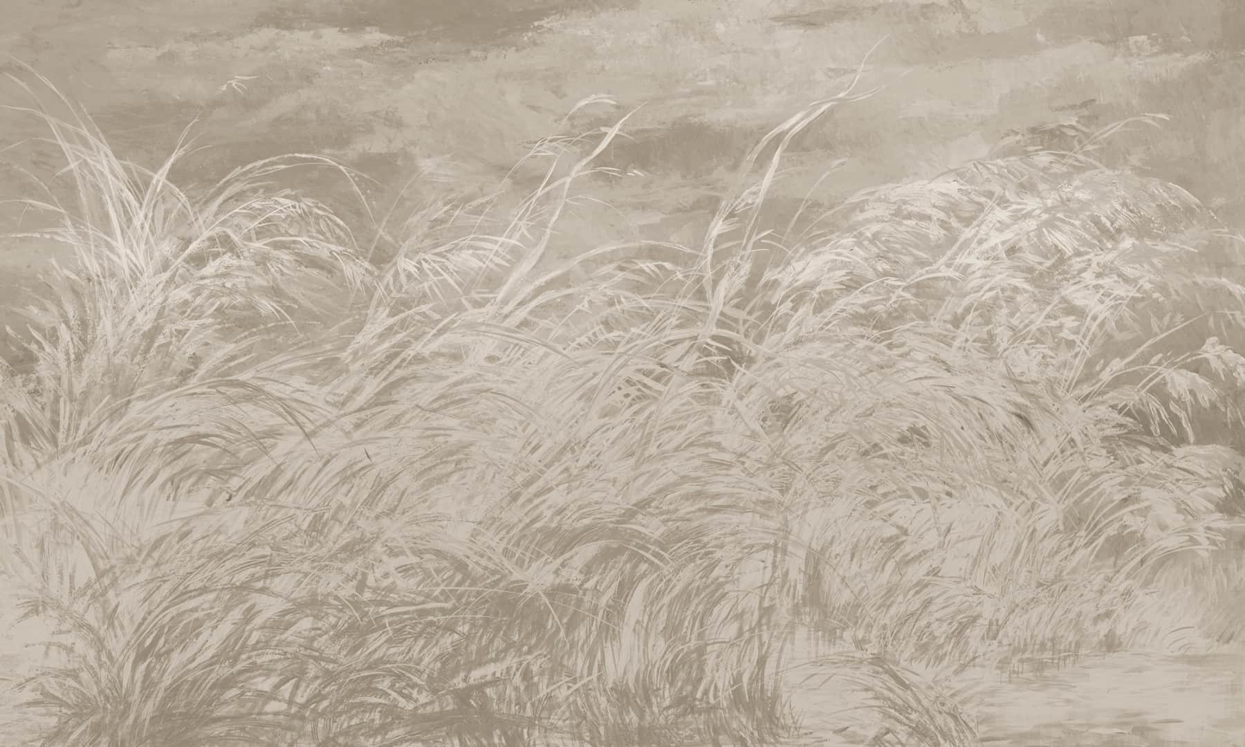 Papier peint Early dawn 4 – Rauv