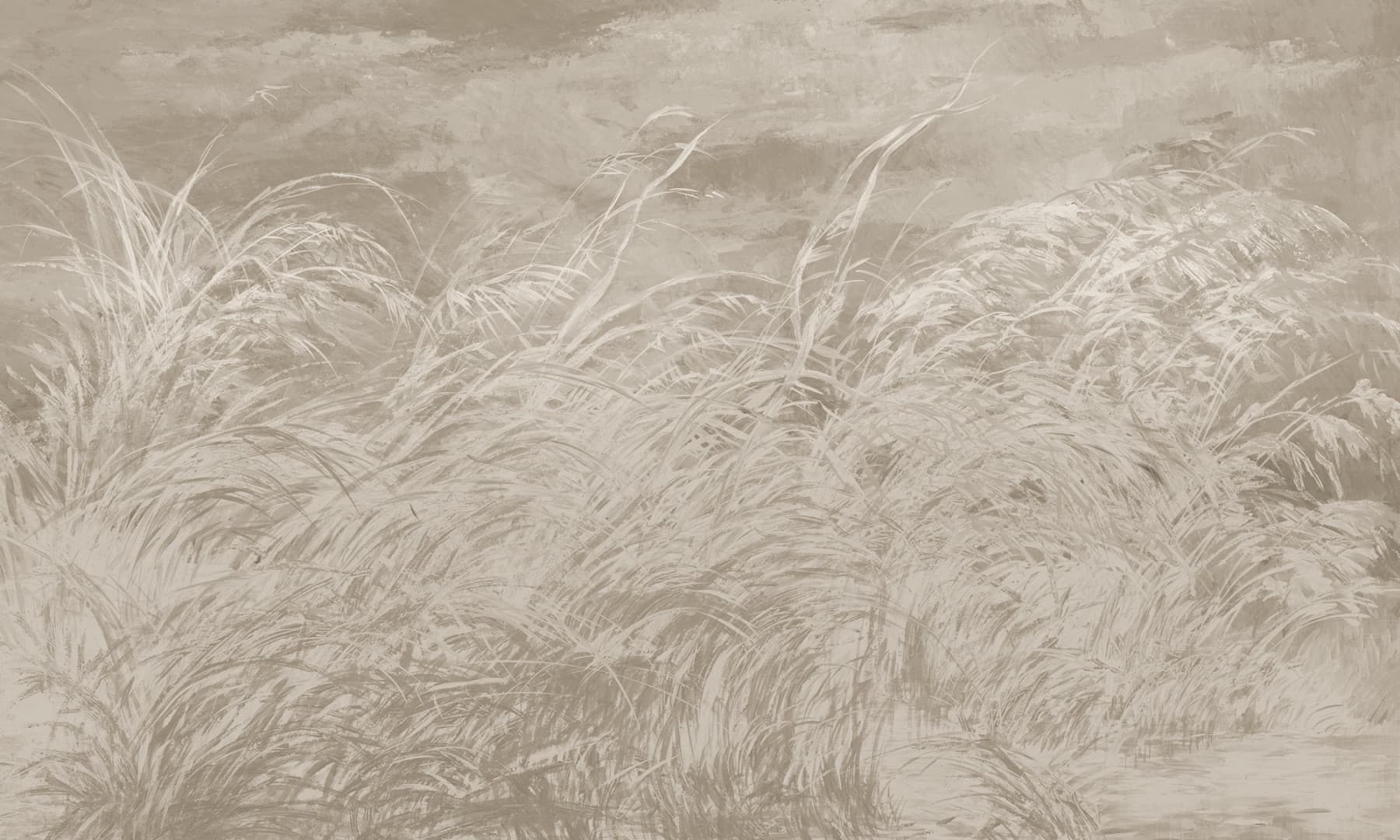 Papier peint Early dawn 4 – Rauv