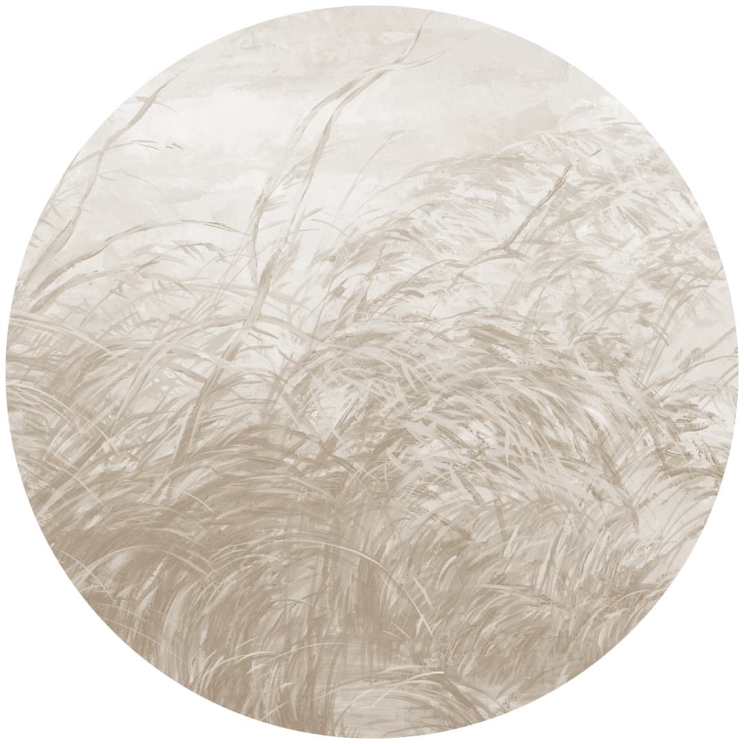 Papier peint cercle Early Dawn 3 – Rauv