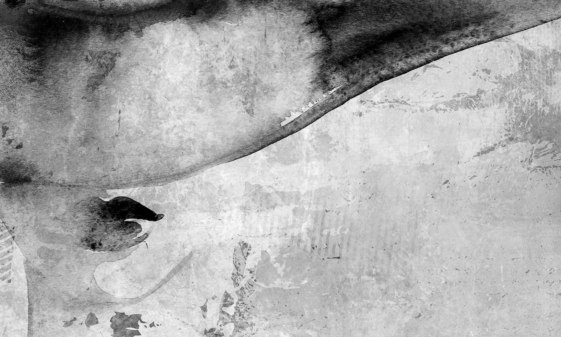Wallpaper The secret